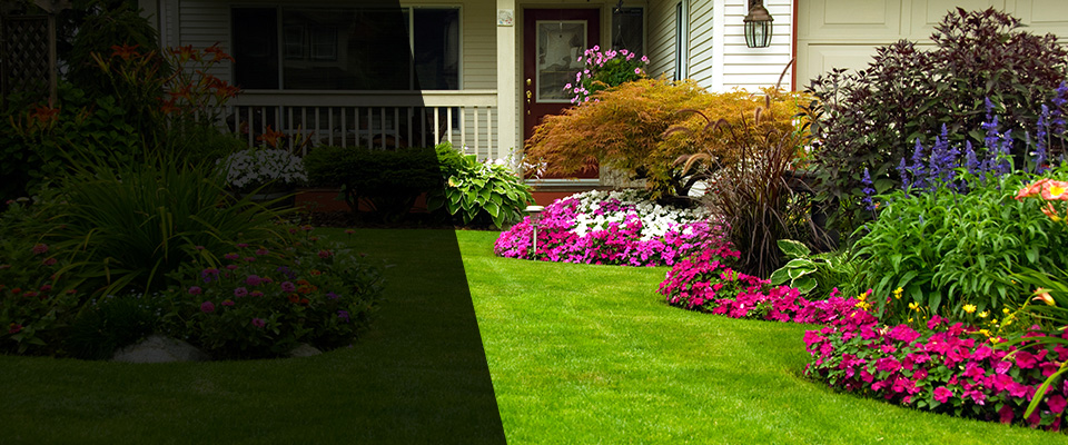Bear Landscapers